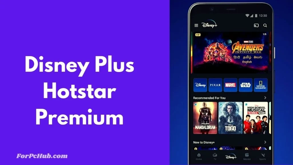 Disney Plus Hotstar for PC